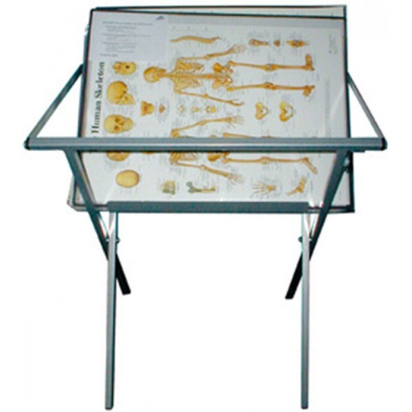 Stativ Metalic Pentru Planse Didactice 