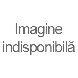 MAGAZIN HALA CENTRALA, IASI